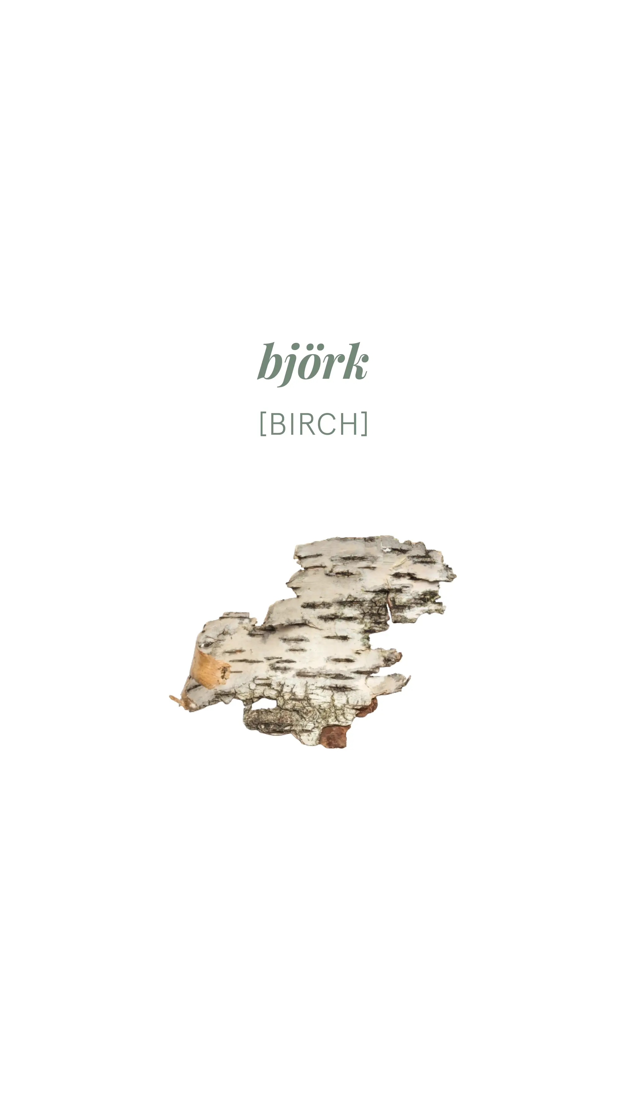 Björk