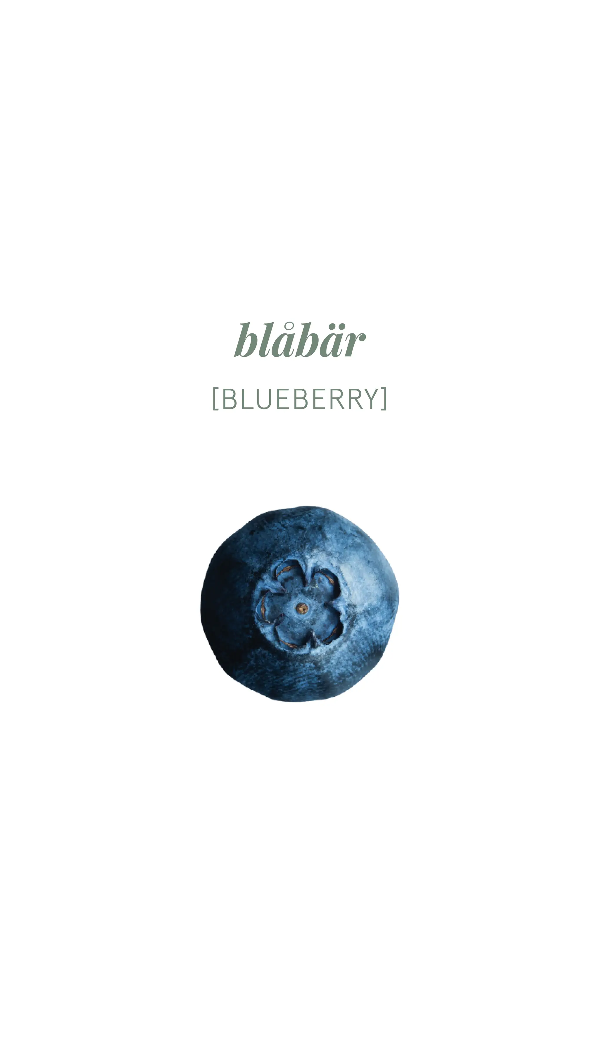 Blåbär